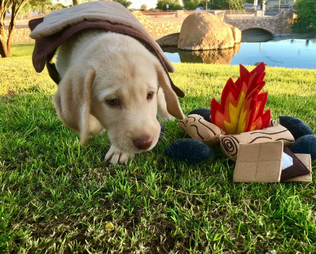 Felt Campfire Play Set, Kids Pretend Play Toy, Unique Birthday Gift
for Children